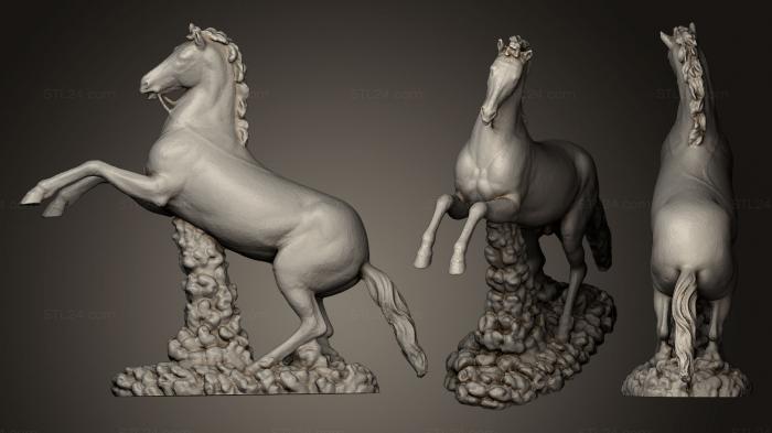 Статуэтки животных (Лошадь Буонталенти, STKJ_0565) 3D модель для ЧПУ станка